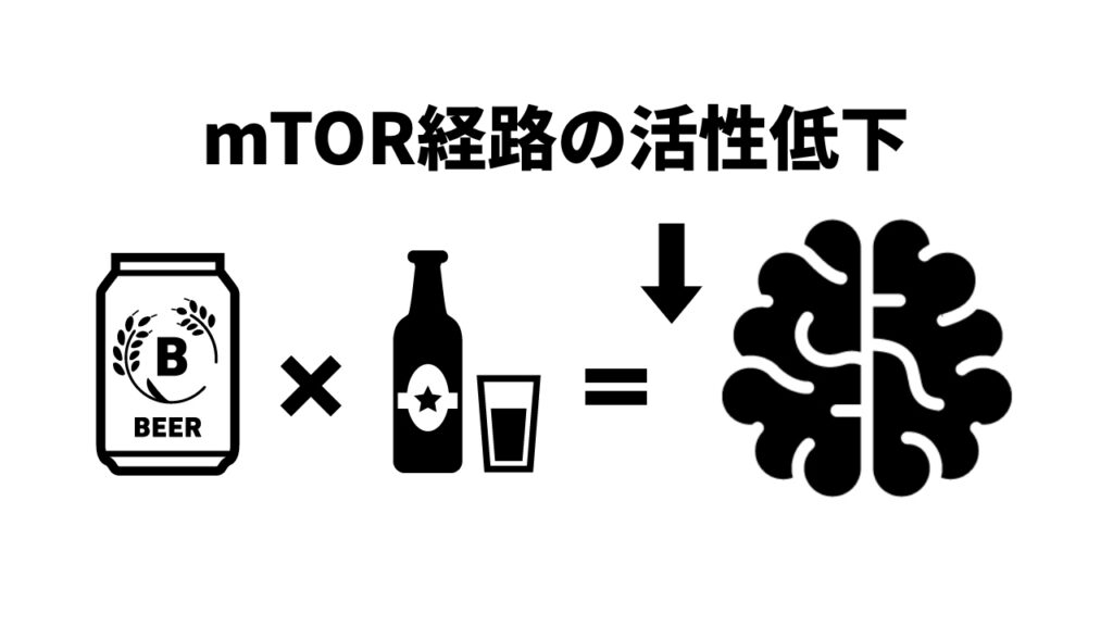 筋トレ アルコール 関係ない